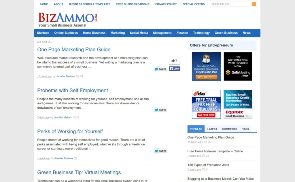 Homepage screenshot from Bizammo.com